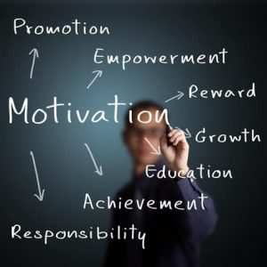How do you motivate the members of your team?