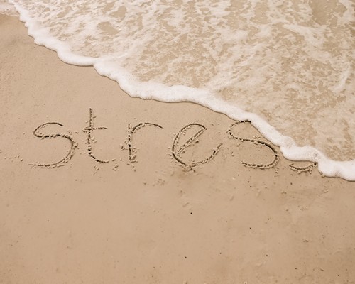 Wash the stress away with these mindfulness practices.