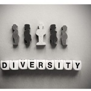 What is a diverse workplace?