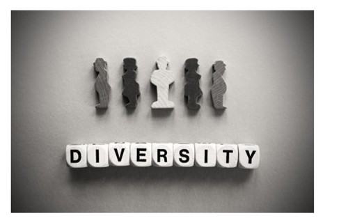 What is a diverse workplace?