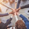 Building high-performance teams: The role of trust and collaboration