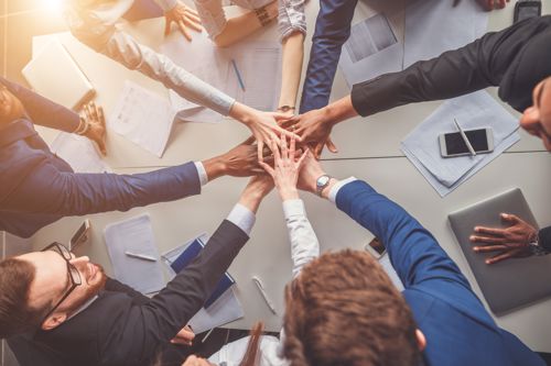 Building high-performance teams: The role of trust and collaboration